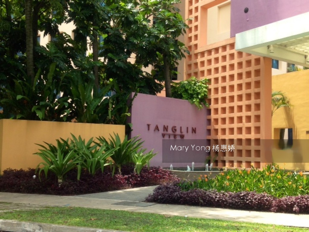 Tanglin View (D3), Condominium #144945002
